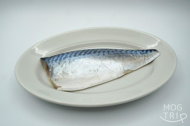 銀鱗・高槻商店の「銀鱗トロしめ鯖」