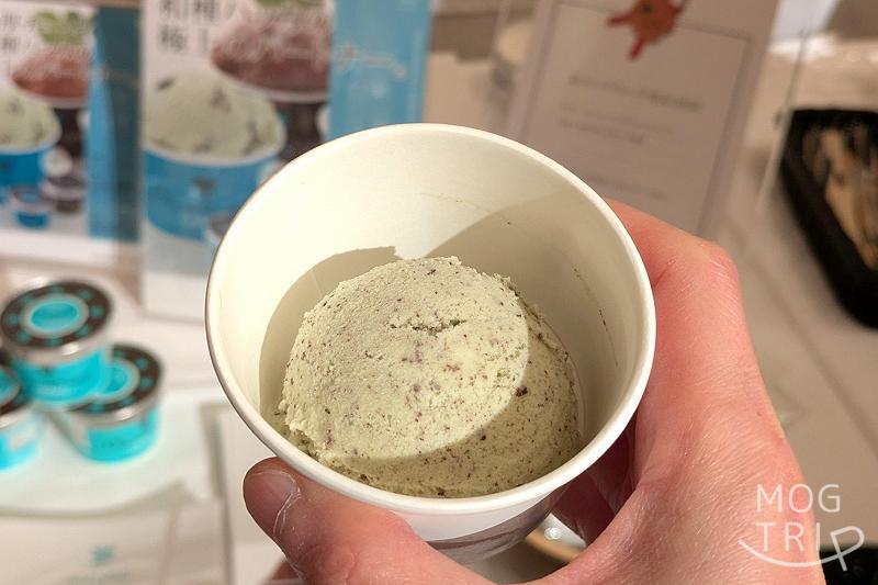 チョコチップミントジェラート